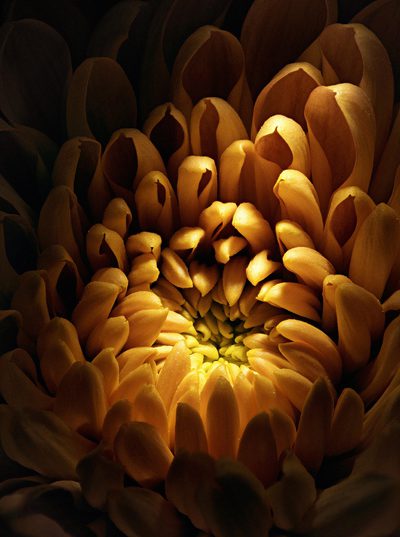 JG_StillLifeOverview_02