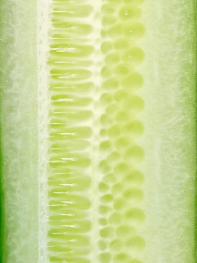 JG Overview Thumbnail